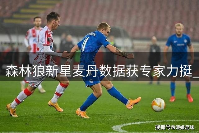 森林狼新星麦丹数据获专家力挺 效率值揭示其准全明星潜质